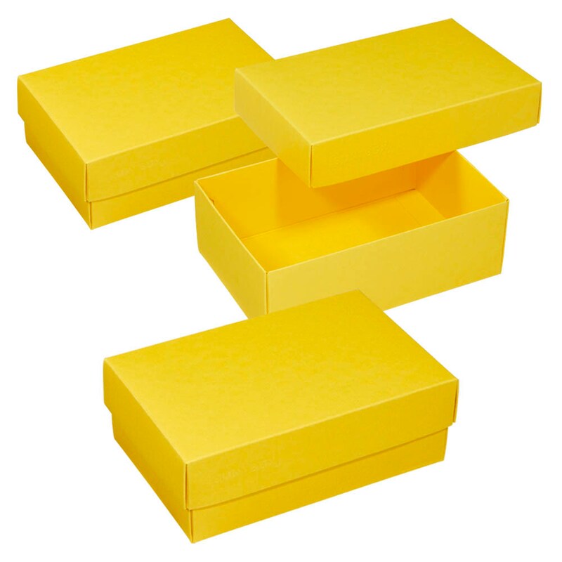 BUNTBOX M Geschenkboxen 1,1 l gelb 17,0 x 11,0 x 6,0 cm, 3 St.