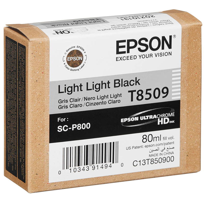 Epson Tintenpatrone schwarz light, light (C13T850900, T8509)