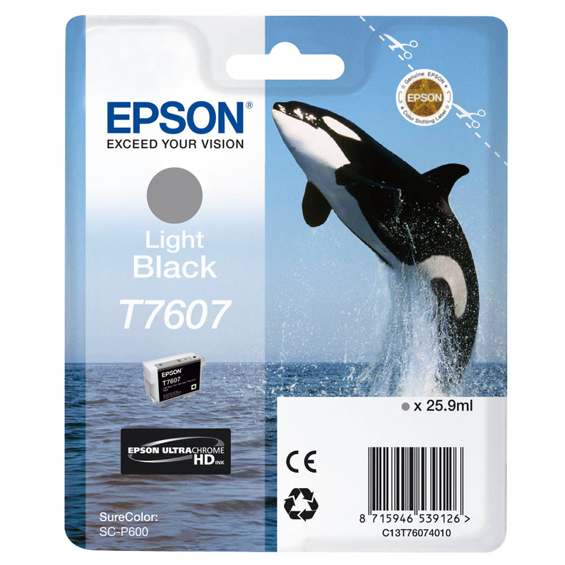 Epson Tintenpatrone schwarz light (C13T76074010, T7607)