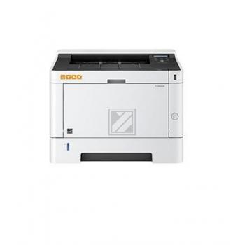 P 4020 DW