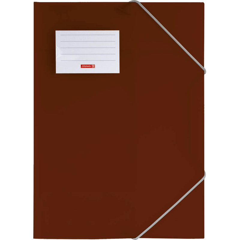 BRUNNEN Sammelmappe FACT!pp DIN A4 braun transparent, 1 St.