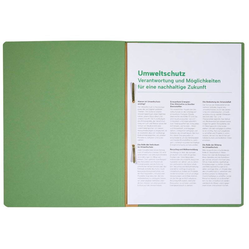 LEITZ Ösenhefter 3742 Karton grün DIN A4, 50 St.