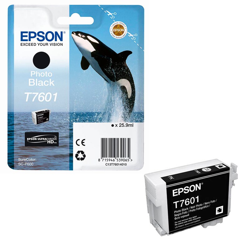 Epson Tintenpatrone photo schwarz (C13T76014010, T7601)