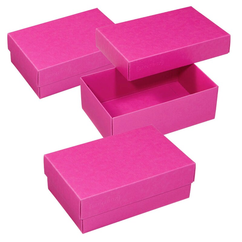 BUNTBOX M Geschenkboxen 1,1 l pink 17,0 x 11,0 x 6,0 cm, 3 St.