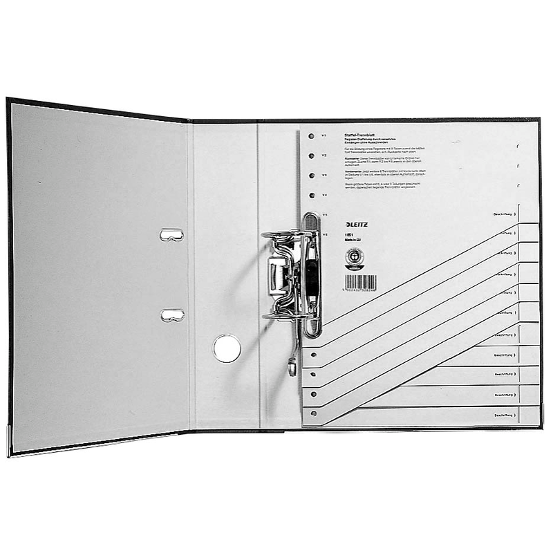 LEITZ Trennblätter 1651 DIN A4 blanko grau, 200 g/qm, 100 St.