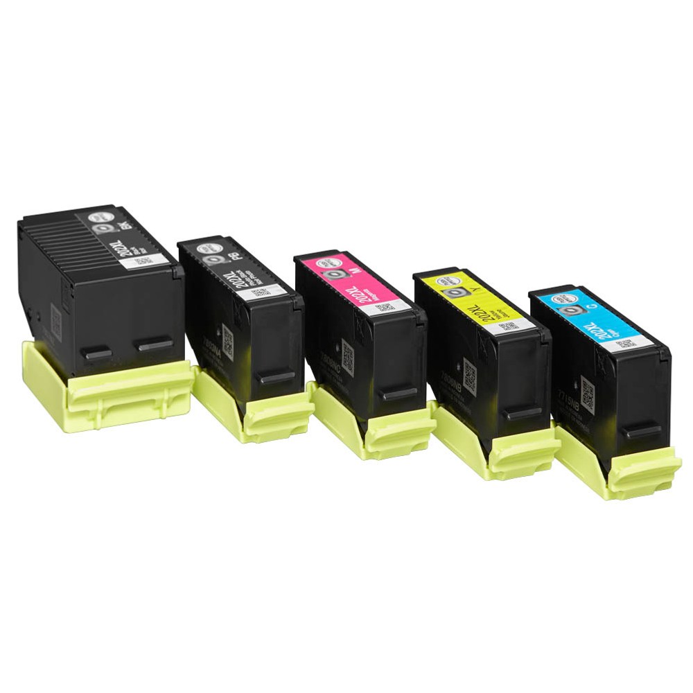 Epson Tintenpatrone gelb, magenta, schwarz, schwarz photo, cyan HC (C13T02G74010, 202XL)