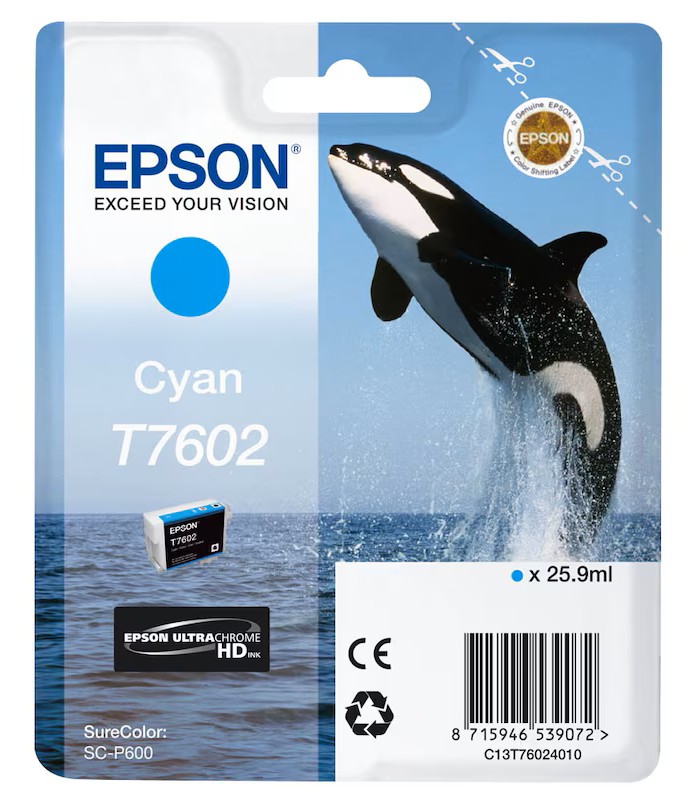 Epson Tintenpatrone cyan (C13T76024010, T7602)