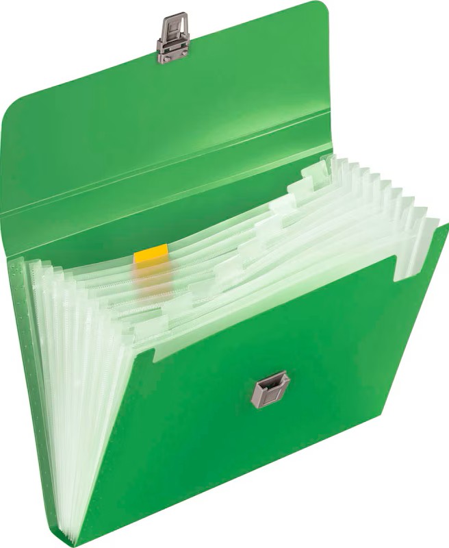 BRUNNEN Fächermappe FACT!pp 10 Fächer grün, 1 St.