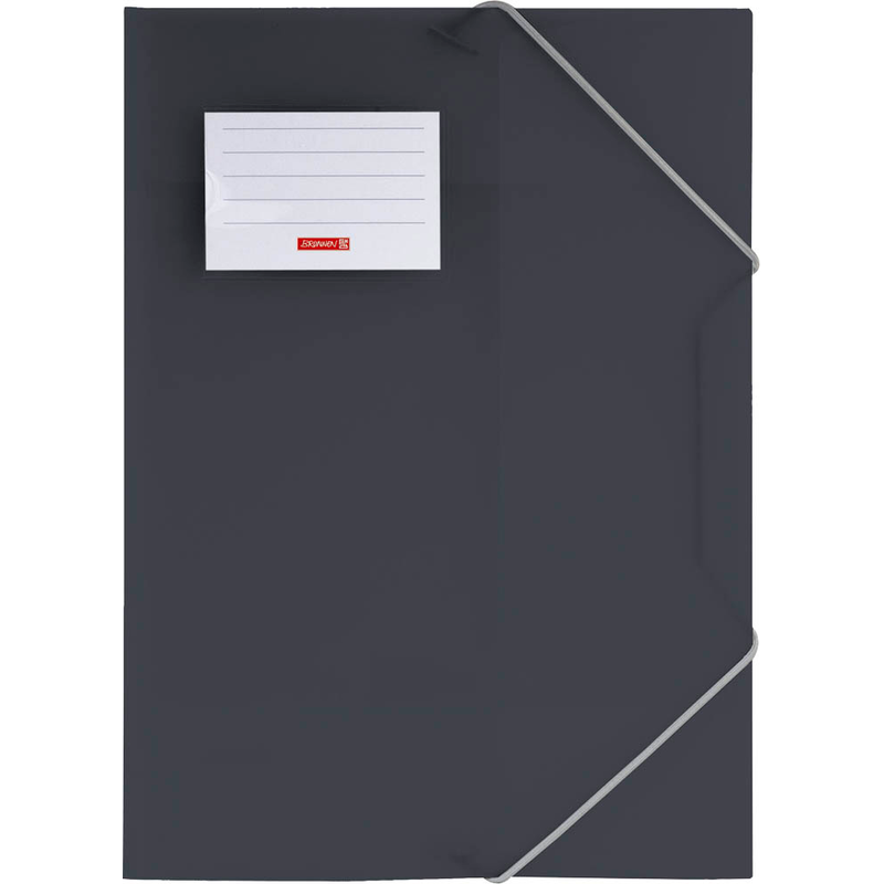 BRUNNEN Sammelmappe FACT!pp DIN A4 grau transparent, 1 St.