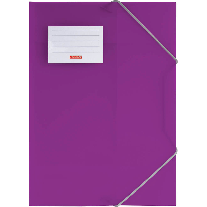 BRUNNEN Sammelmappe FACT!pp DIN A4 purple transparent, 1 St.