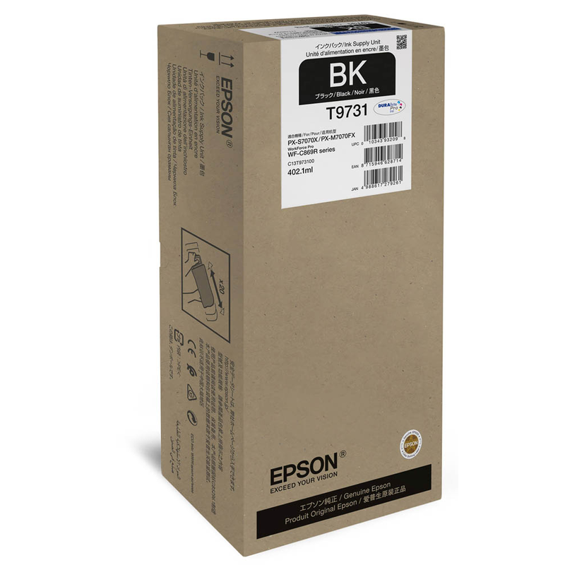 Epson Tintenpatrone schwarz (C13T97310N, T9731)