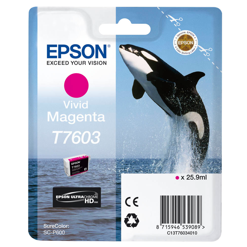 Epson Tintenpatrone magenta (C13T76034010, T7603)