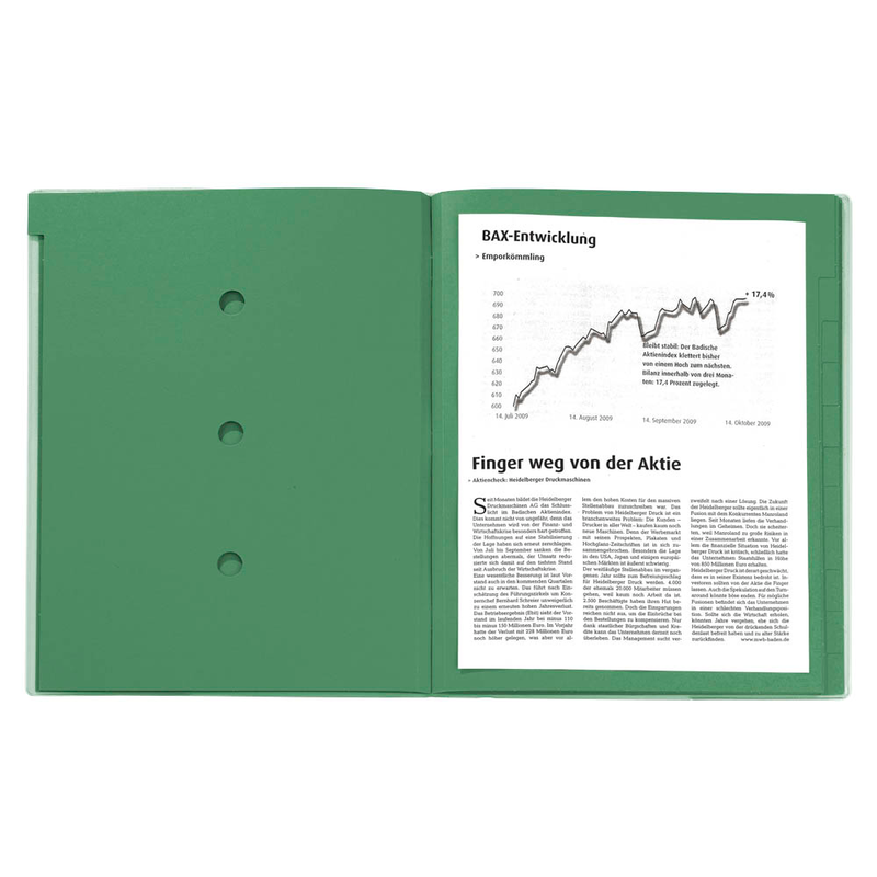 bene Ordnungsmappe 12 Fächer grün, 1 St.