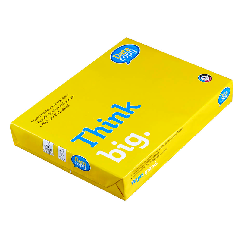 Data copy Kopierpapier Everyday Printing DIN A3 100 g/qm 500 Blatt